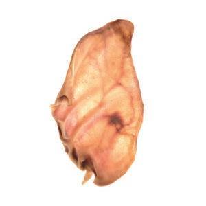 przysmaki dla psa appetit, suszone świńskie ucho